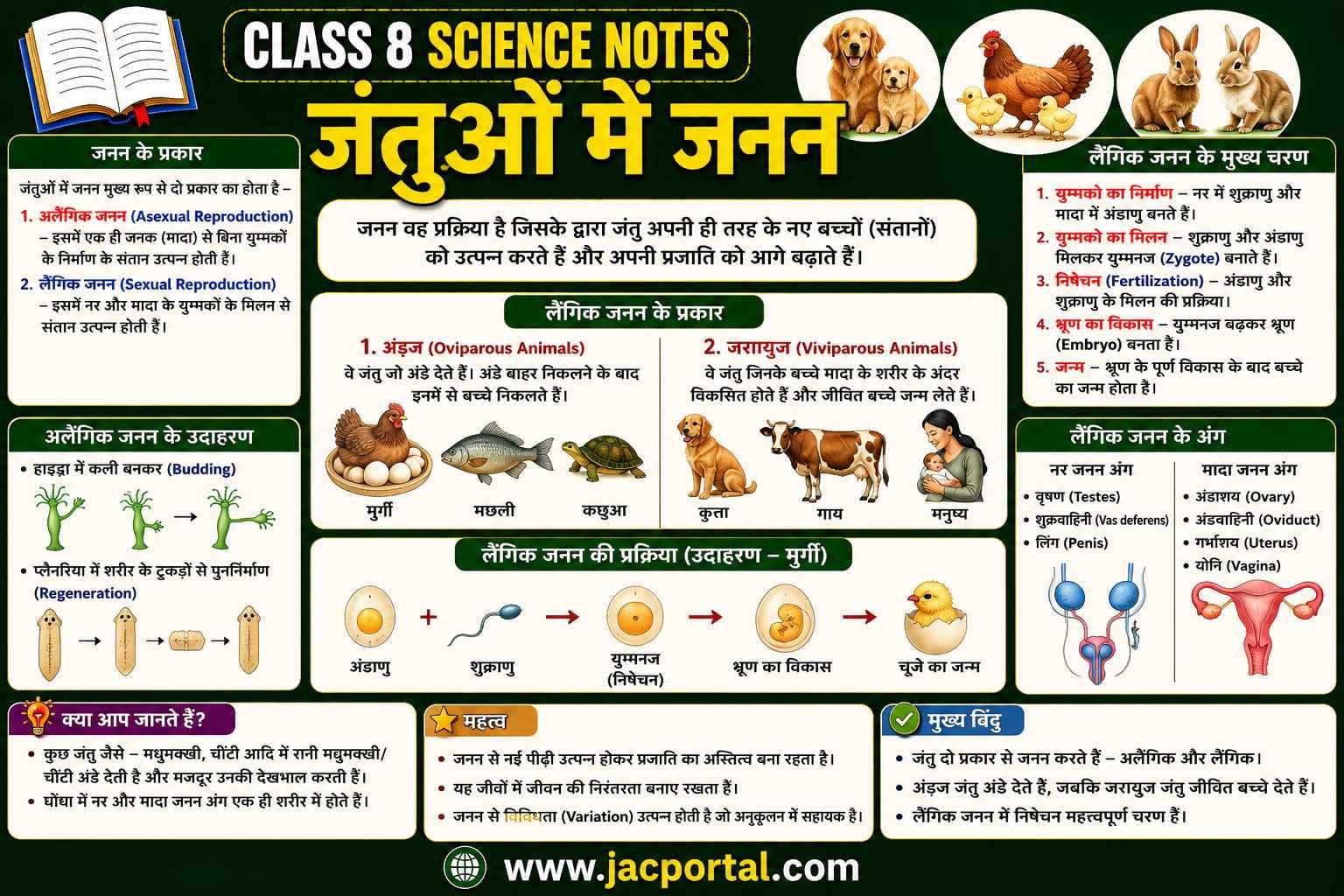 जंतुओं में जनन (Class 8 Science Notes in Hindi)